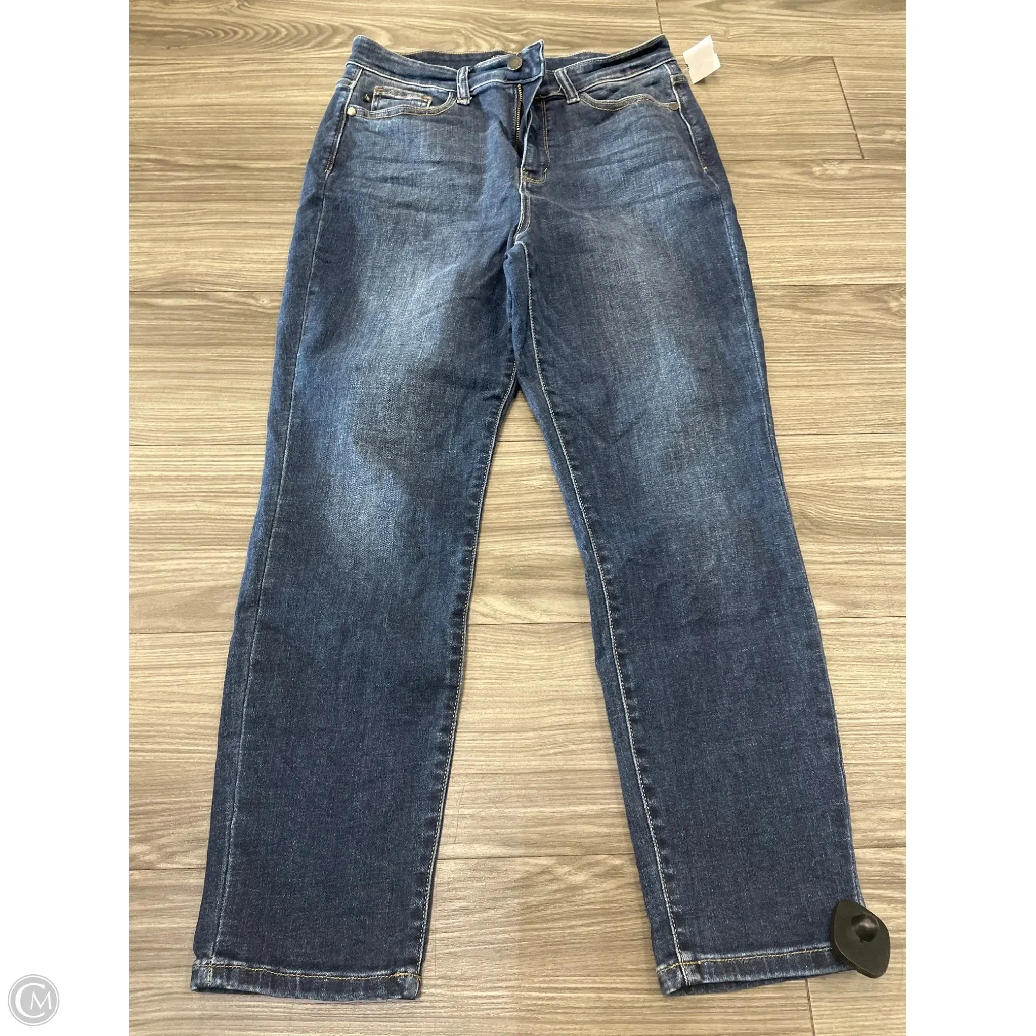Jeans Skinny By Judy Blue In Blue, Size: 10