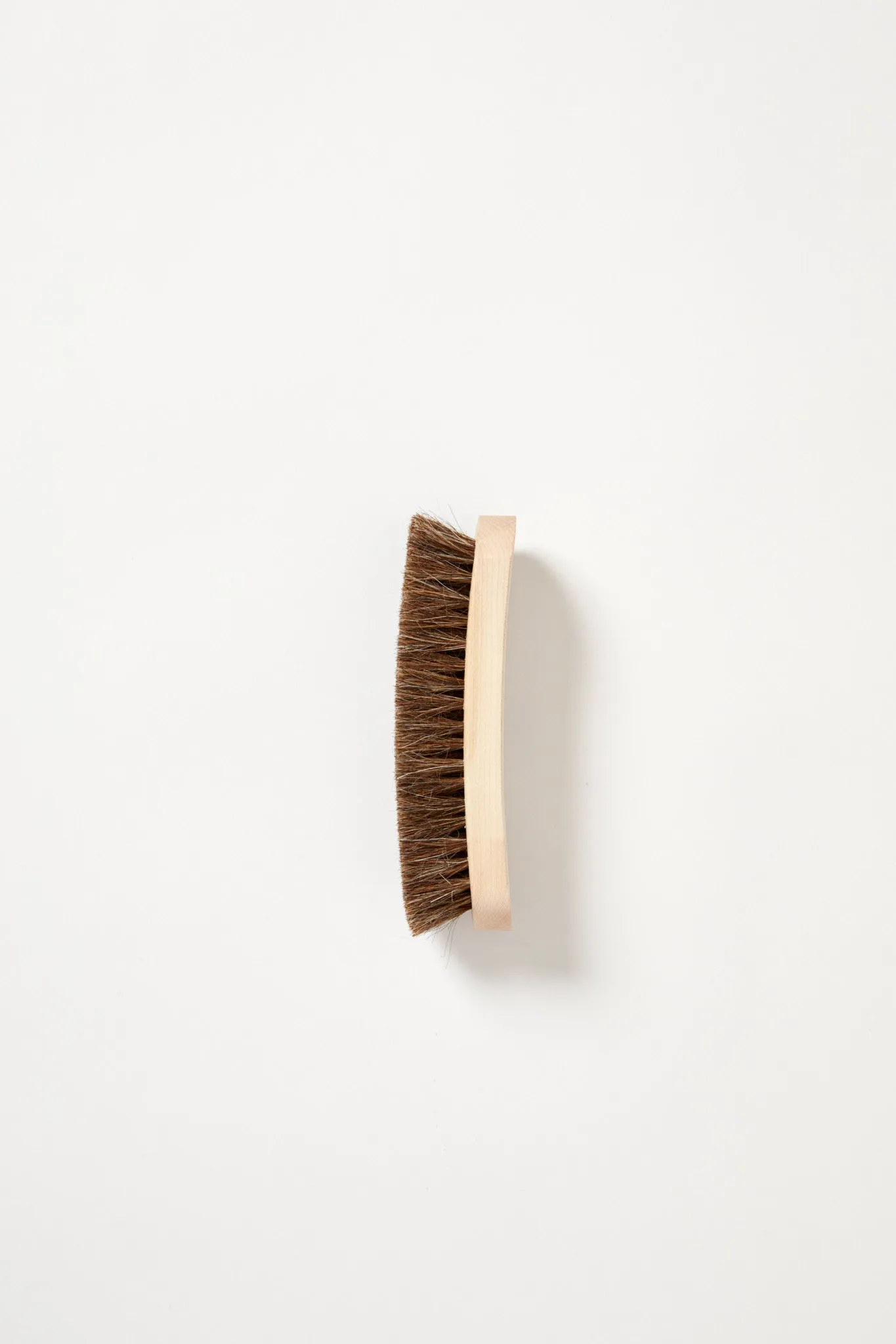 Shoe Brush